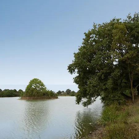 La Maison Des Sources - A 20min Du Puy Du Fou Mortagne-sur-Sevre